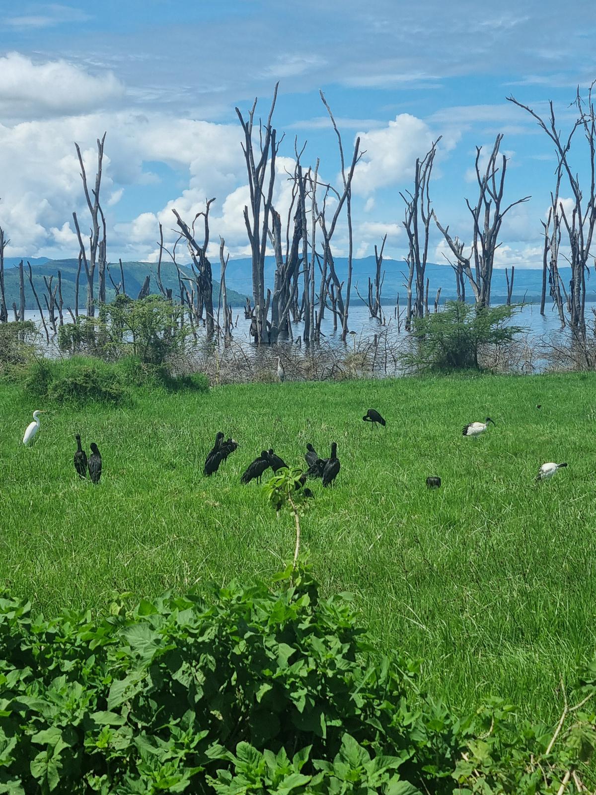 Lake Nakuru National Park17