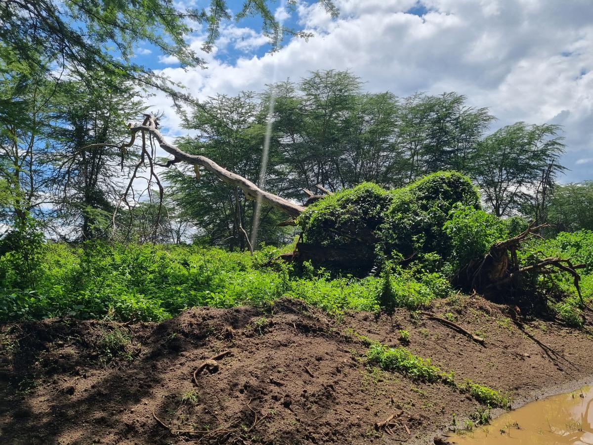 Lake Nakuru National Park19