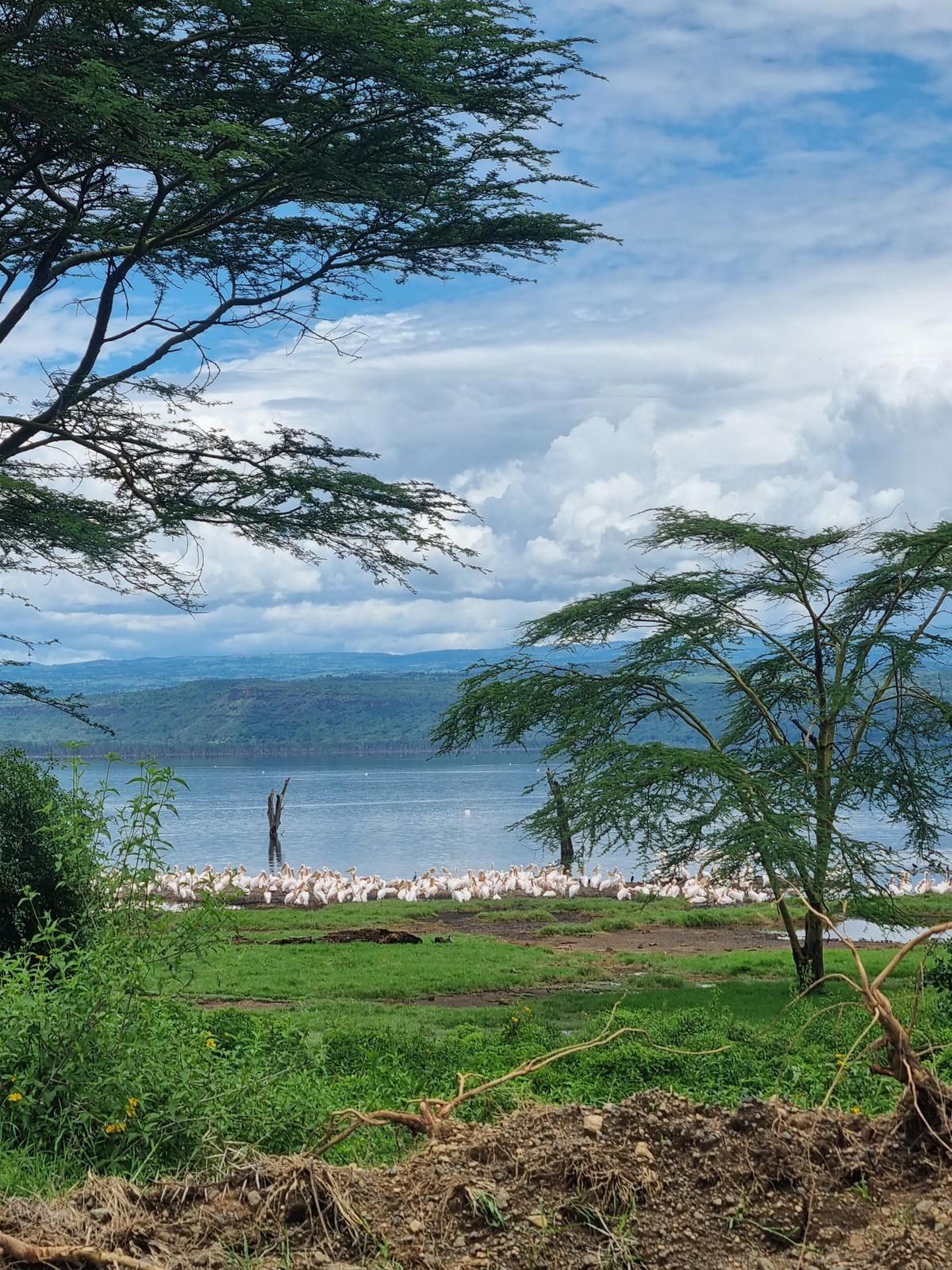 Lake Nakuru National Park22