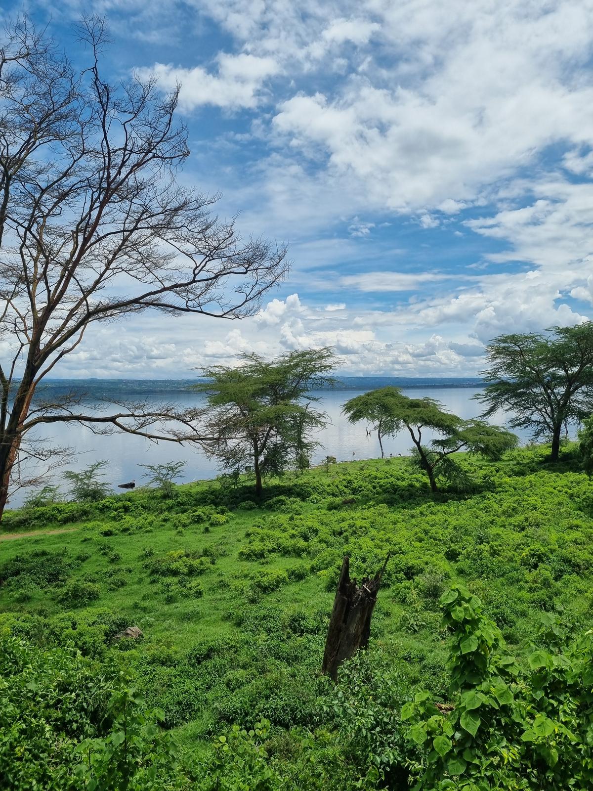 Lake Nakuru National Park1
