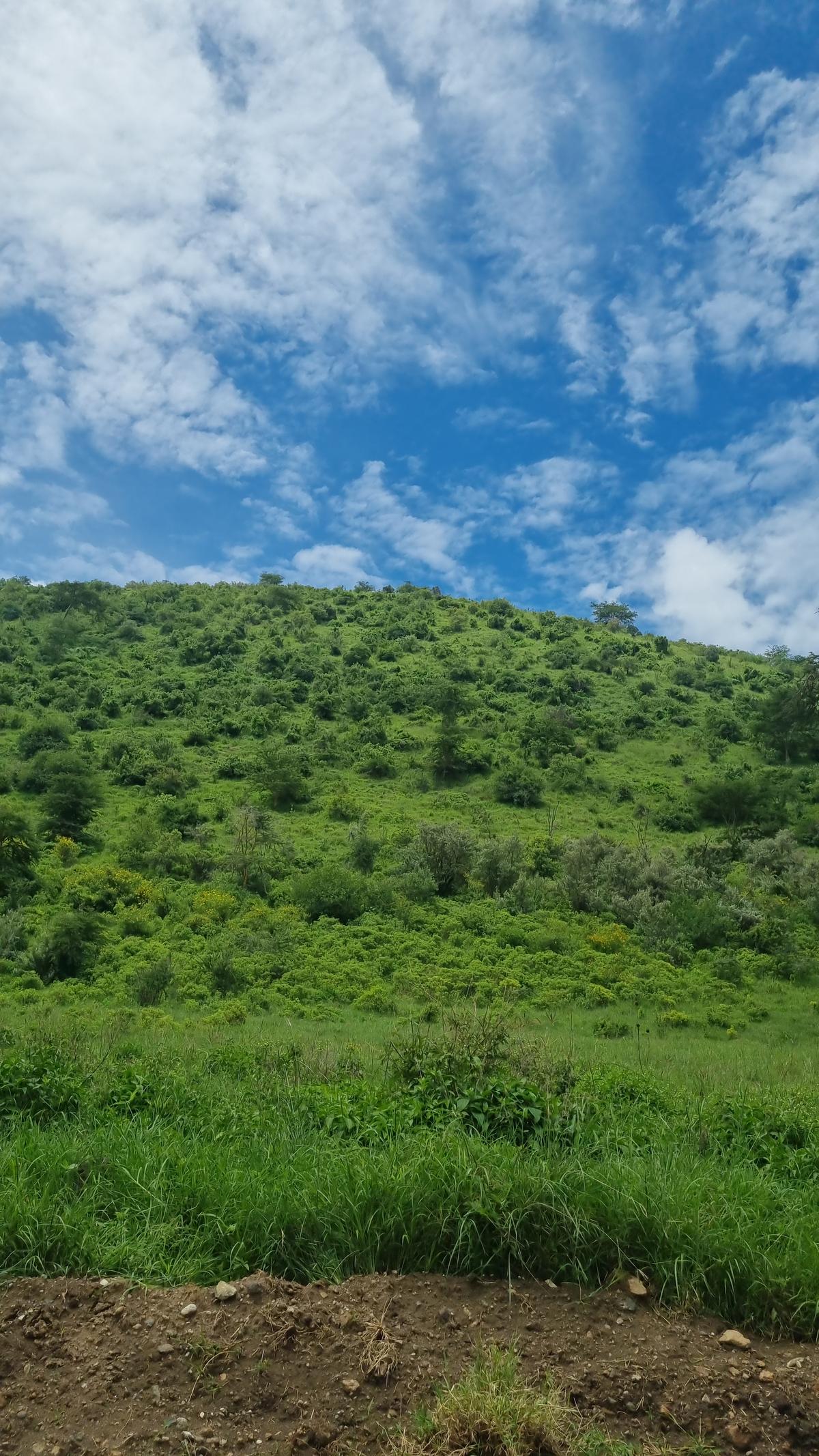 Lake Nakuru National Park2