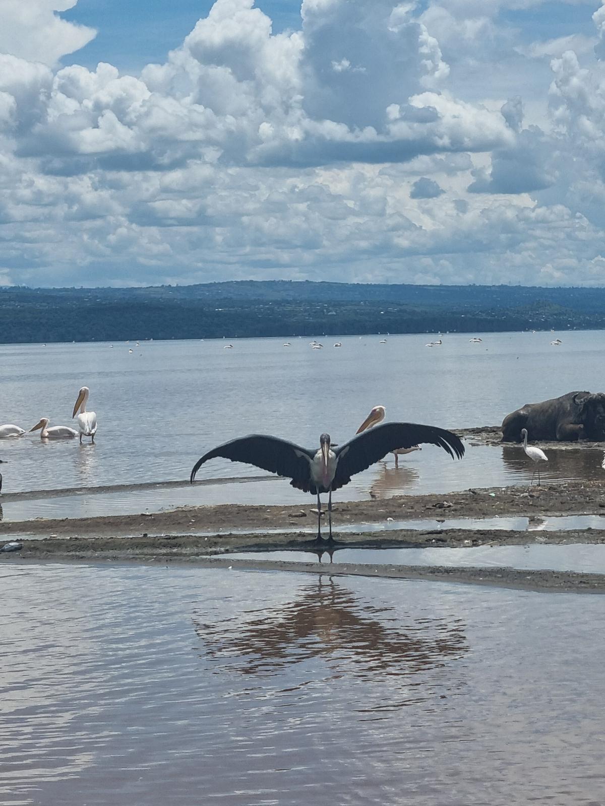 Lake Nakuru National Park5