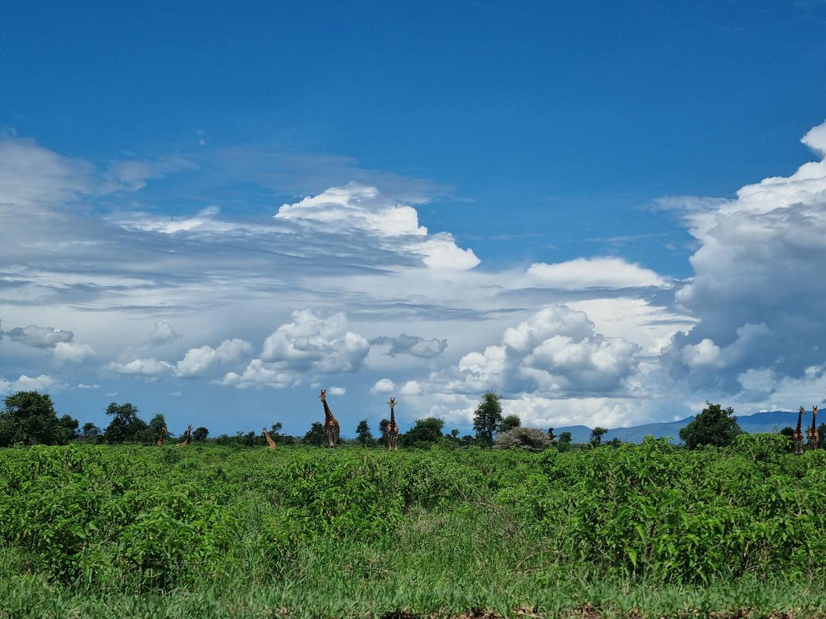 Lake Nakuru National Park9