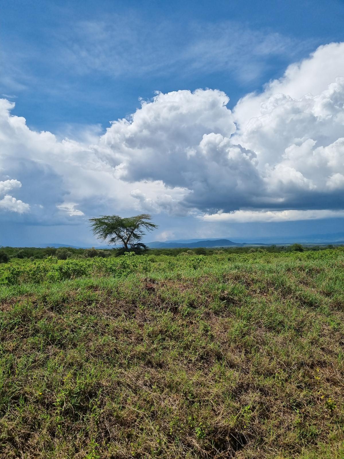 Lake Nakuru National Park13
